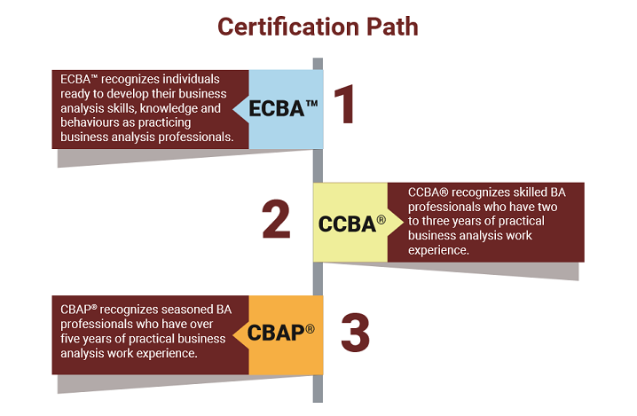 IIBA Certifications Path