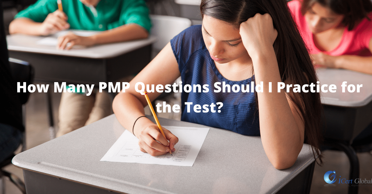 PMI-RMP Test Dumps Pdf