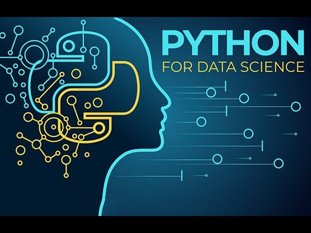 Delicate Data – Python’s Contributions To Data Science