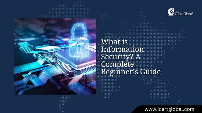 what is information security a pro guide