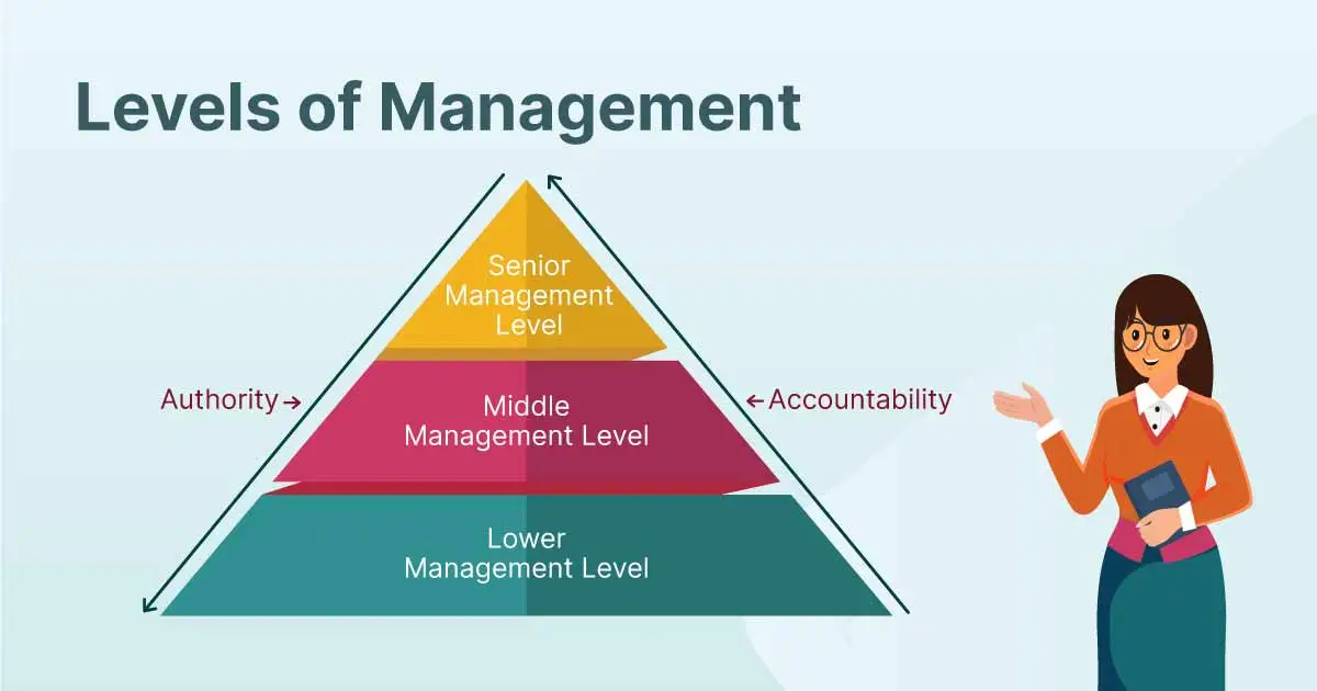 understanding management and its levels blog