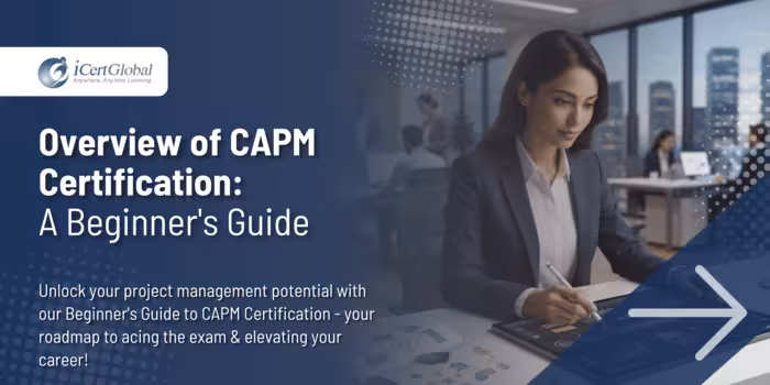 Overview of CAPM Certification: A Beginner's Guide
