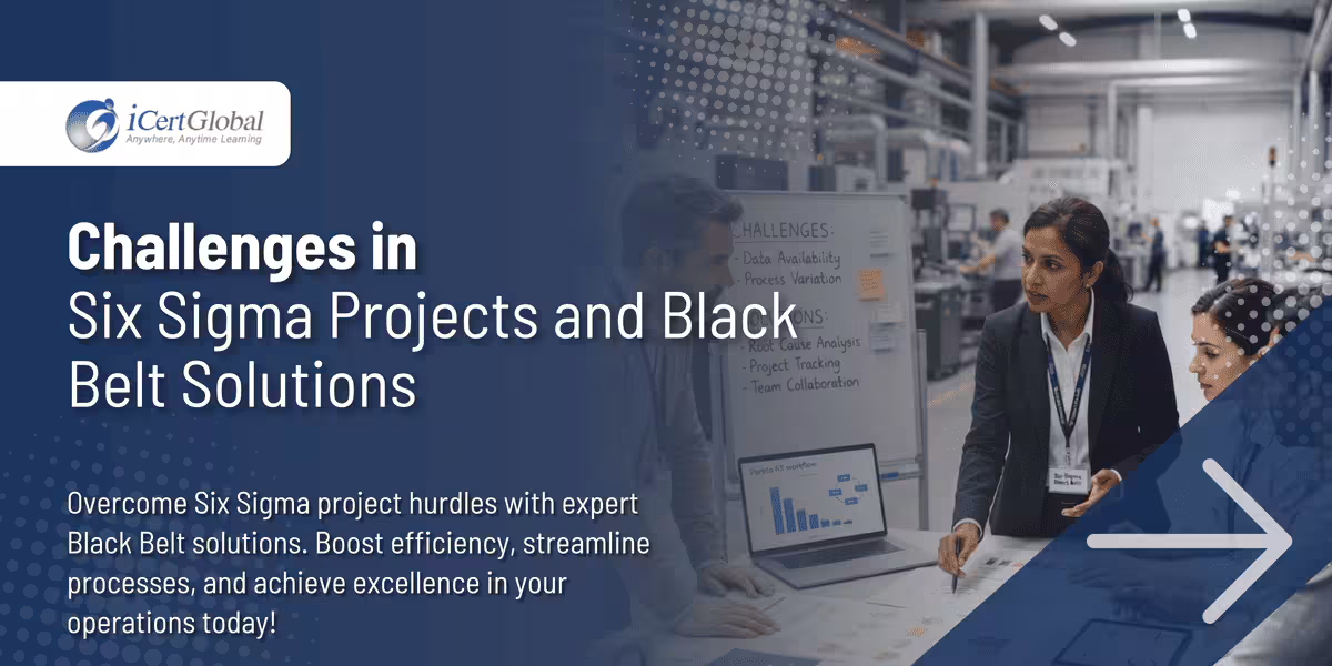 Challenges in Six Sigma Projects and Black Belt Solutions