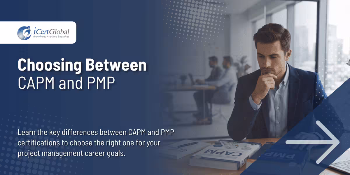 Choosing Between CAPM and PMP