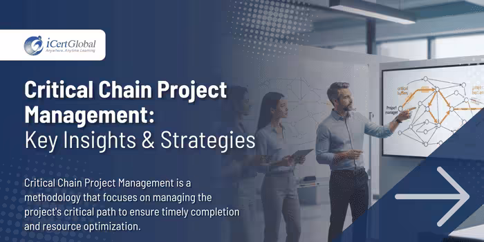 Critical Chain Project Management: Key Insights & Strategies