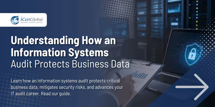 Understanding How an Information Systems Audit Protects Business Data