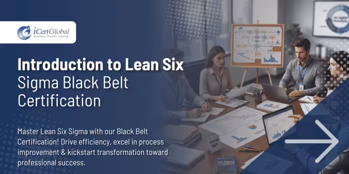 Introduction to Lean Six Sigma Black Belt Certification