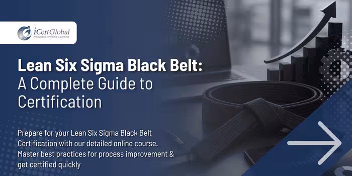Lean Six Sigma Black Belt:A Complete Guide to Certification