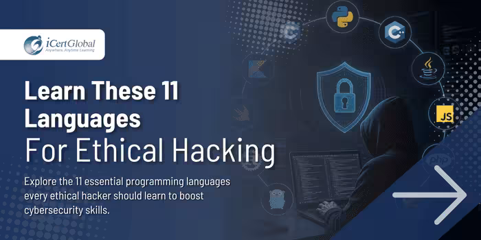 Learn These 11 Languages for Ethical Hacking