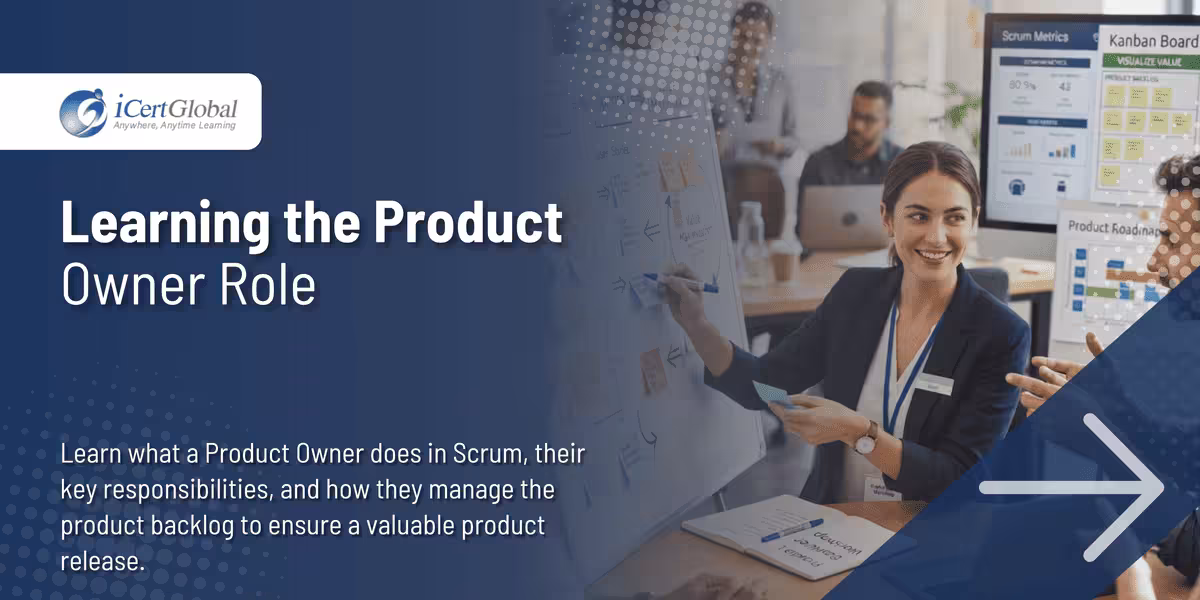 Learning the Product Owner Role