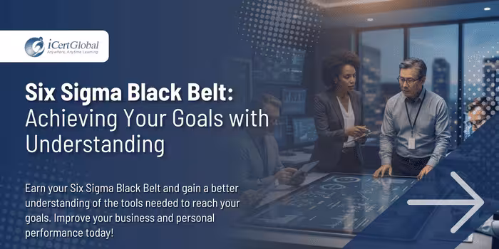 Six Sigma Black Belt:Achieving Your Goals with Understanding