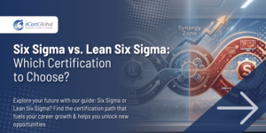 Six Sigma vs. Lean Six Sigma: Which Certification to Choose?