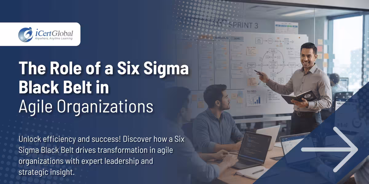 The Role of a Six Sigma Black Belt in Agile Organizations