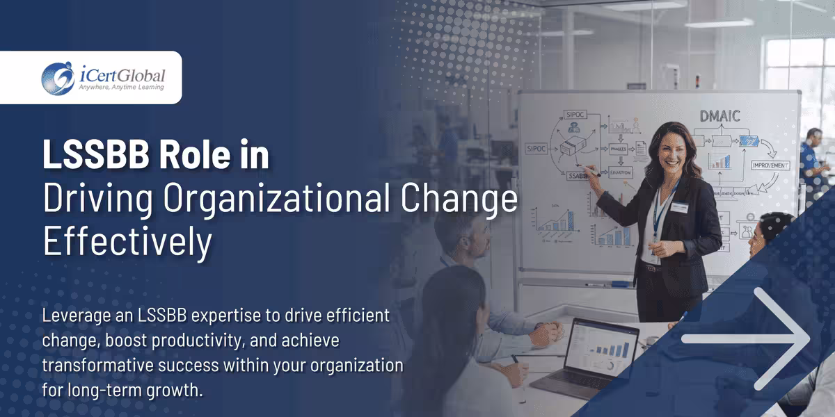 LSSBB Role in Driving Organizational Change Effectively