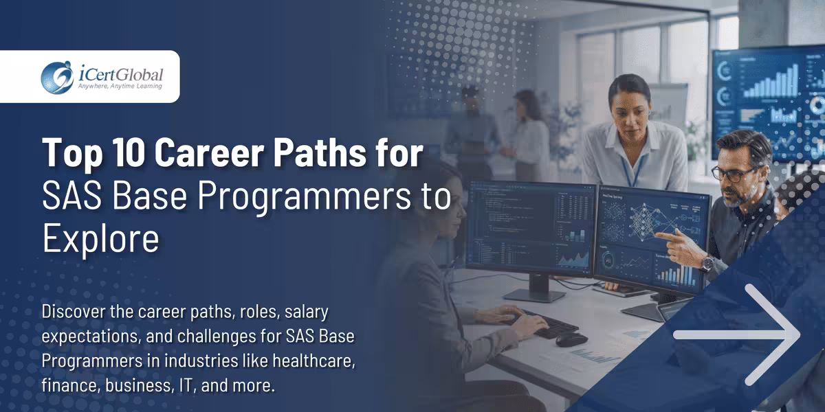 Top 10 Career Paths for SAS Base Programmers to Explore