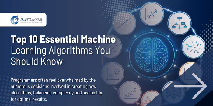 Top 10 Essential Machine Learning Algorithms You Should Know