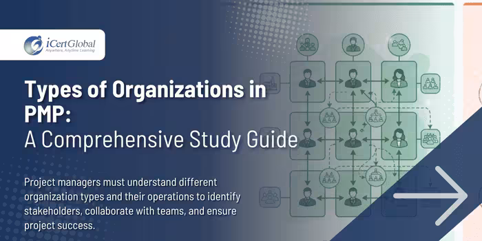 Types of Organizations in PMP: A Comprehensive Study Guide
