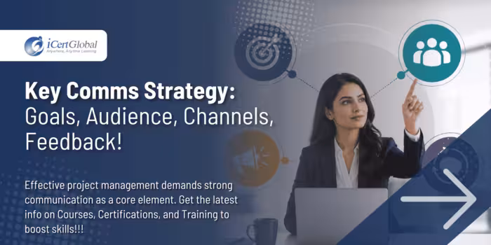 Key Comms Strategy: Goals, Audience, Channels, Feedback!