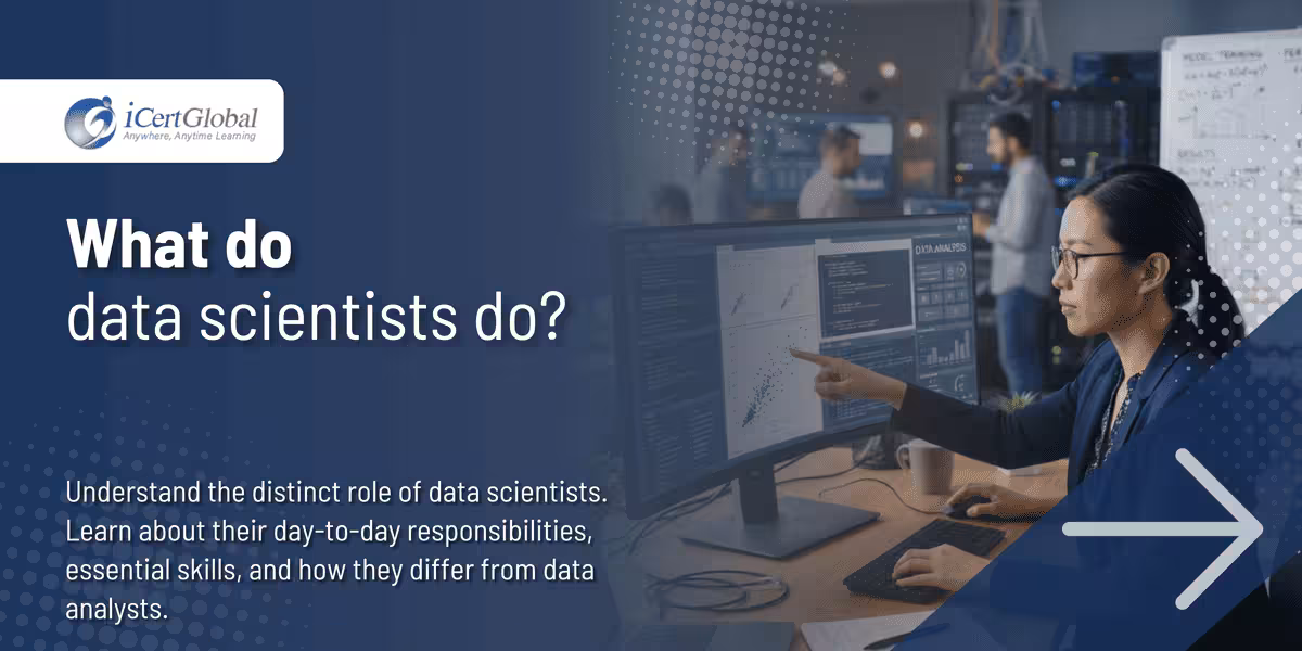 What do data scientists do?