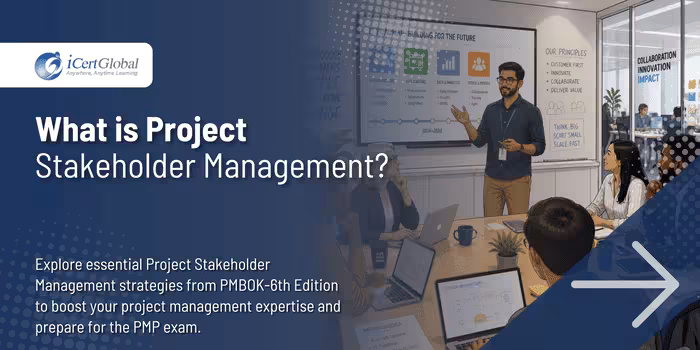 What is Project Stakeholder Management?